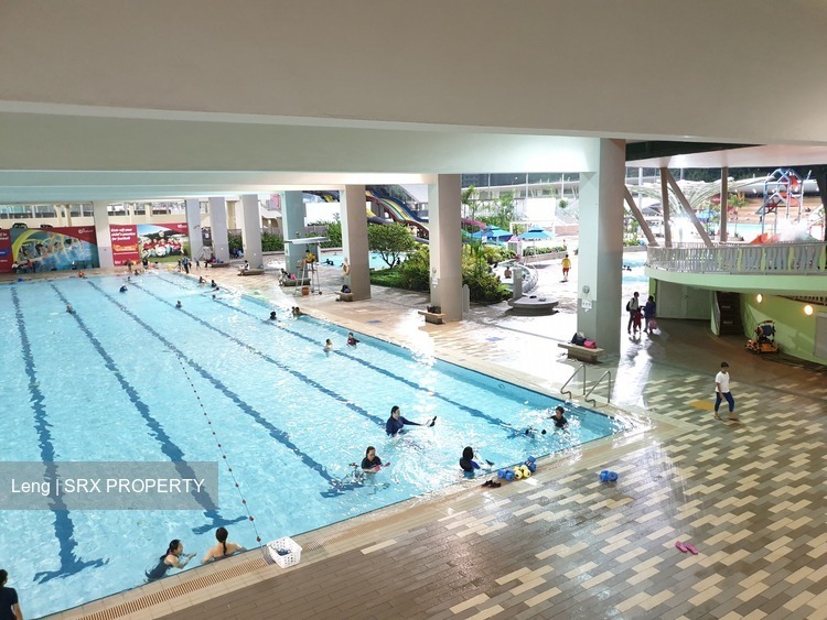 Blk 335C Anchorvale Crescent (Sengkang), HDB 4 Rooms #198527362